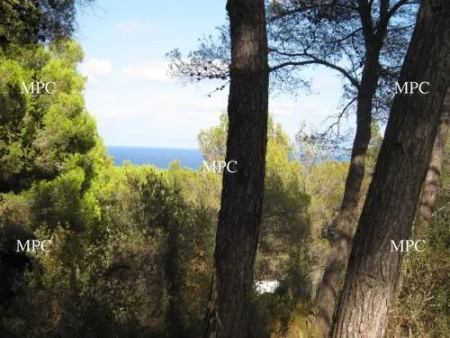 Plot with excellent residential area in Canyamel — photo 1
