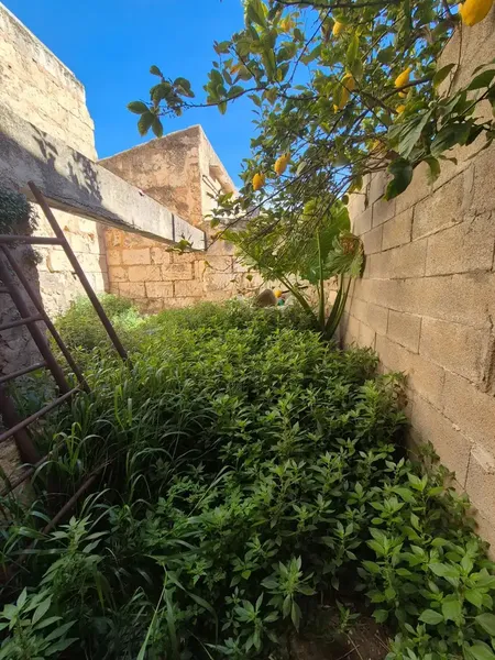 In Sa Pobla!!! — photo 8