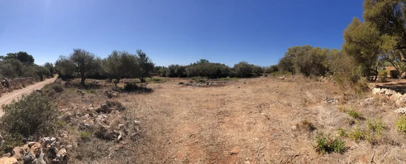 Plot of approximately 14,634 m² just a few minutes from Ses Salines. — photo 1