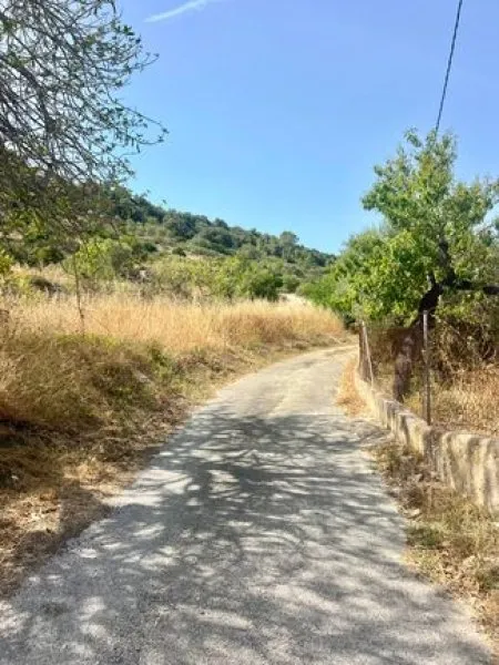 Finca with a large plot - near Palma! — photo 6
