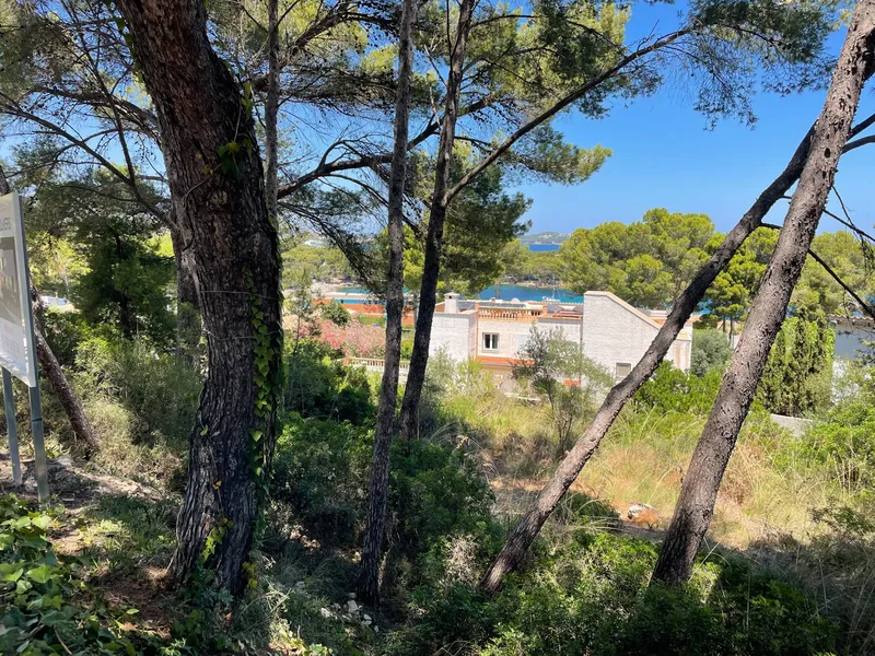 Rural land in Santa Margalida, plot surface 25574.5 m² — photo 11