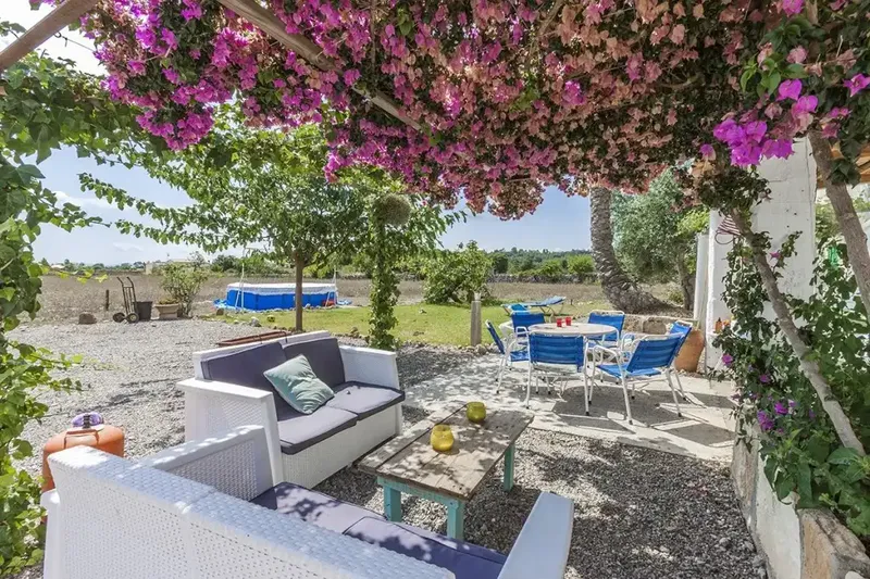 Rustic finca with a huge plot in the countryside between Pollensa and Port de Pollensa — photo 3