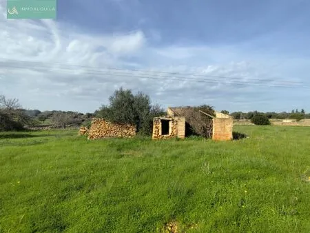 Rustic property - Santa Margalida, Built Surface 50m², Plot Surface 15767m², 1 Room, 1 Bathrooms — photo 2