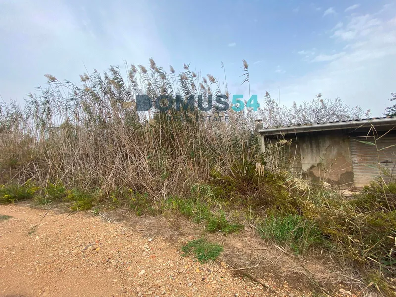 plot in Sa Pobla — photo 4