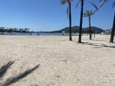 Flat - Alcúdia (Port d'Alcúdia - Platja d'Alcúdia) — photo 9