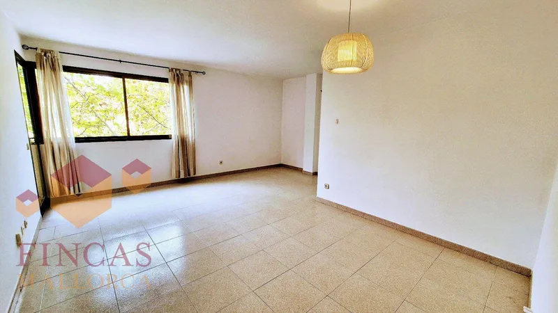 Apartment Carretera Valldemossa – S’Escorxador – NOT AVAILABLE — photo 3