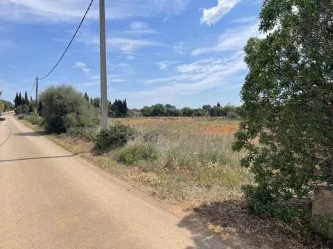 Plot — photo 6