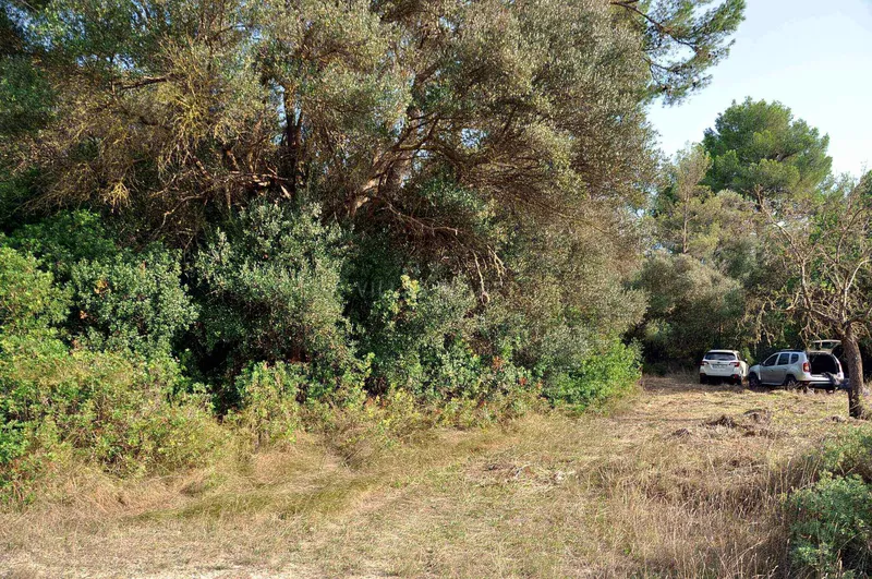 Rustic Land-plot In Sa... — photo 6