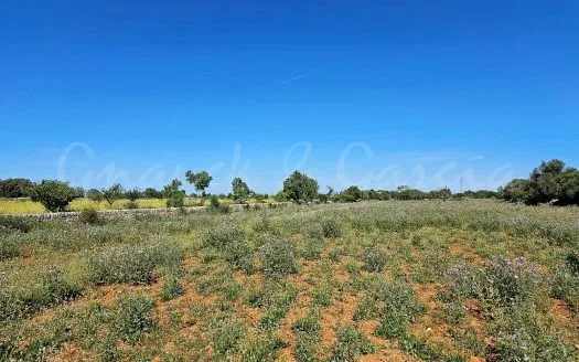 plot in Santanyi — photo 1