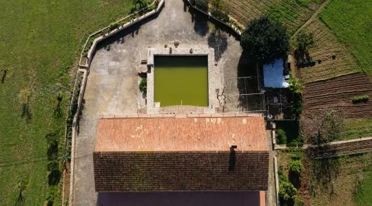 Rustic property - Inca (Binissalem), built surface 732m2, plot surface 14119m2, 3 bedrooms, 2... — photo 5