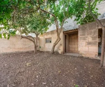 Land for Sale in Manacor — photo 6