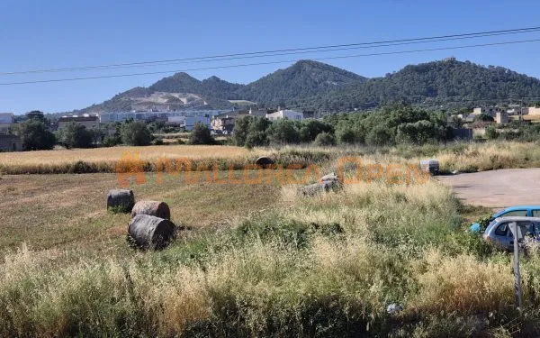 Mallorcan house for sale in Manacor — photo 7