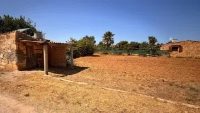 Finca rústica en Ctra Muro - Can Picafort — photo 3
