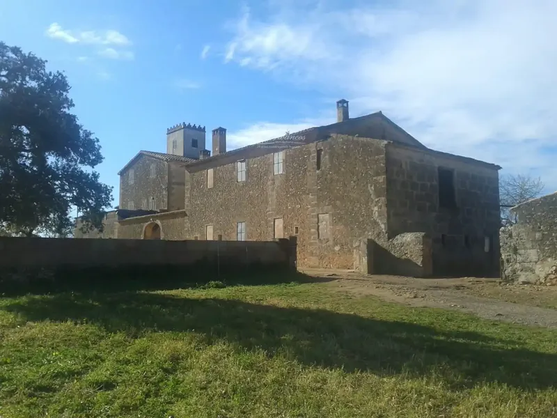 Impressive 18th Century Estate in Algaida — photo 1