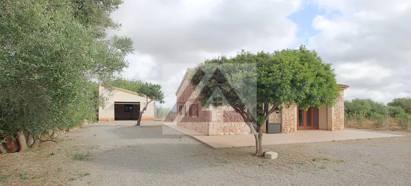 Country house for rent Ses Salines — photo 3