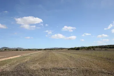 7100sqm Plot Son Caules Manacor 360deg Views — photo 1