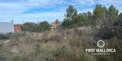 Real estate picture 0 Ref. No. 78287 — photo 8