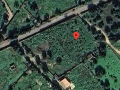 For rent: Plot of 5,000 m² with small house in Santanyí – Ideal for horses — photo 5