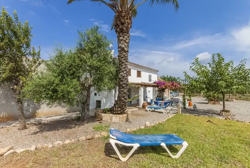 Rustic finca with a huge plot in the countryside between Pollensa and Port de Pollensa — photo 2