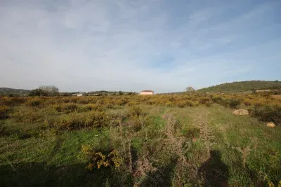 Land for sale in Manacor — photo 10