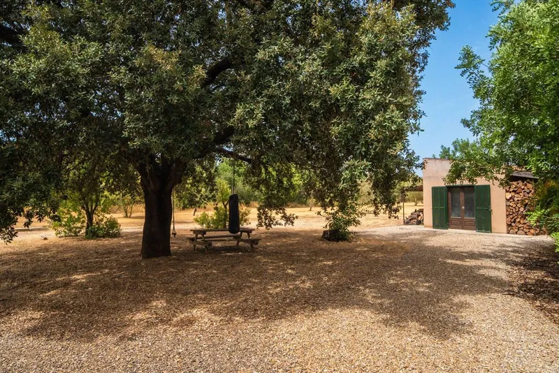 Villa in Binissalem, Province of Balearic Islands — photo 4