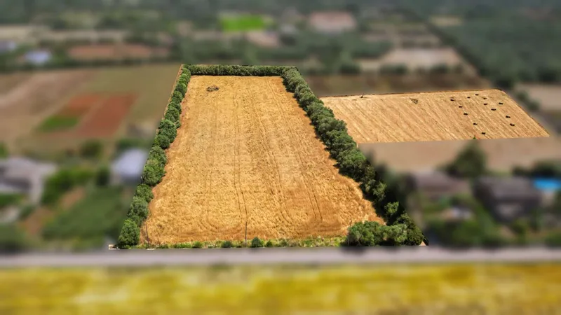 Unique plot of over 17,000 m² – Build your project in Mallorca — photo 2