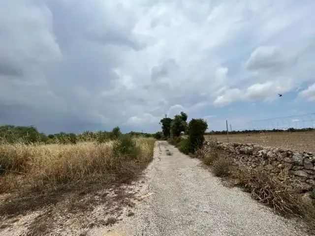 Rustic finca on the road to Colònia de Sant Jordi, km 5, belonging to the municipality of Campos — photo 10