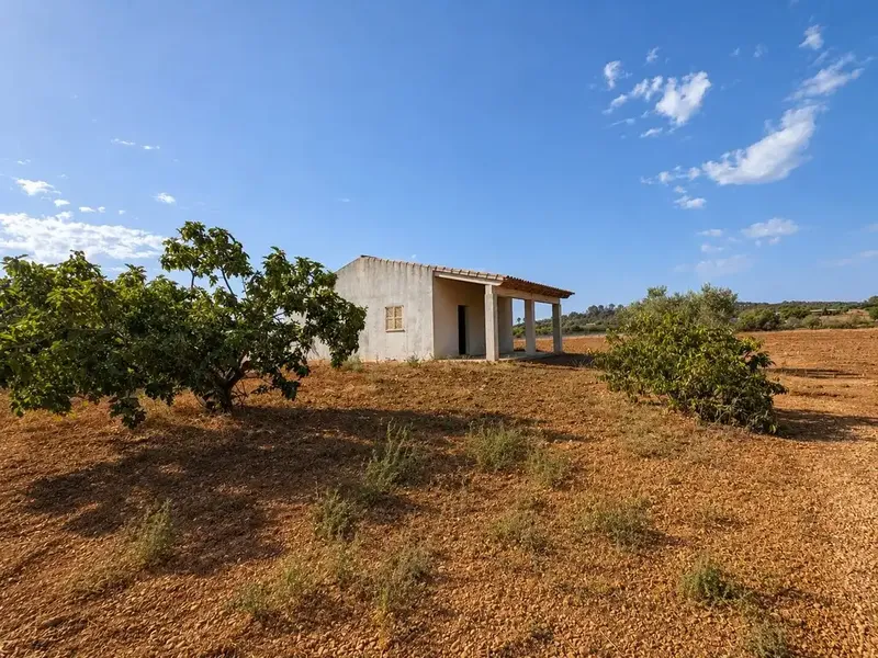 Agricultural estate near Campanet in a privileged natural setting — photo 1