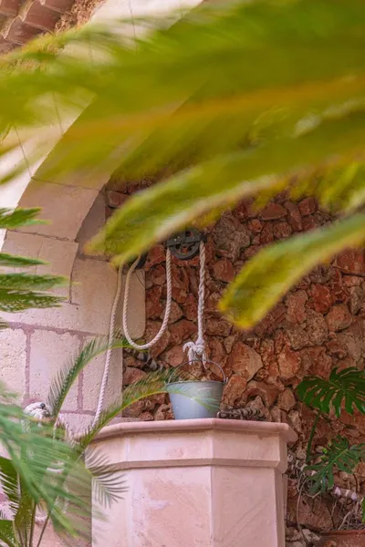 Residential Finca with ETV in Costa de los Pinos — photo 10