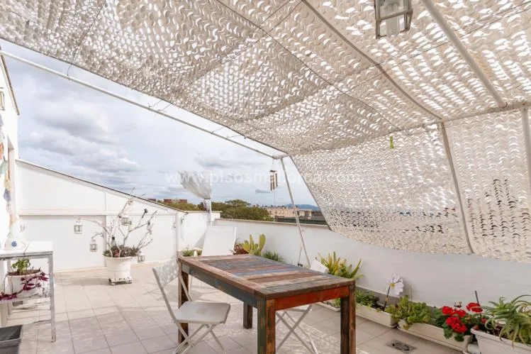 Penthouse. Palma de Mallorca — photo 3