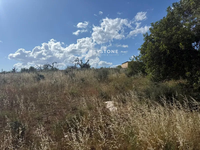 Plot — photo 4