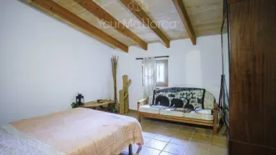 Rustic house in Manacor — photo 5