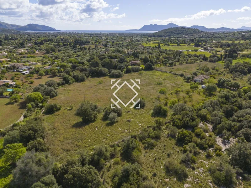 Finca with project and licence for sale in Pollensa, Mallorca — photo 7