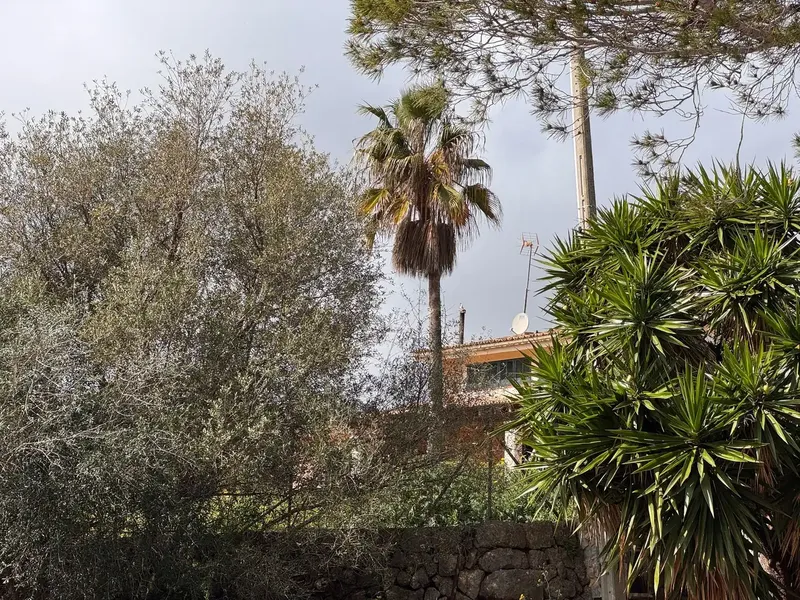 House with squatters, cannot be visited and only cash purchase, no financing — photo 2