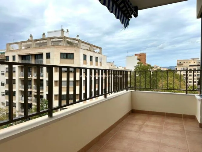 Apartment in Palma de Mallorca, Plaza Paris Area — photo 8