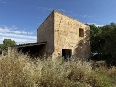 Rustic property - Manacor (outskirts), built surface 85 m², plot surface 28,442 m², 1 room, 1 bathroom — photo 6