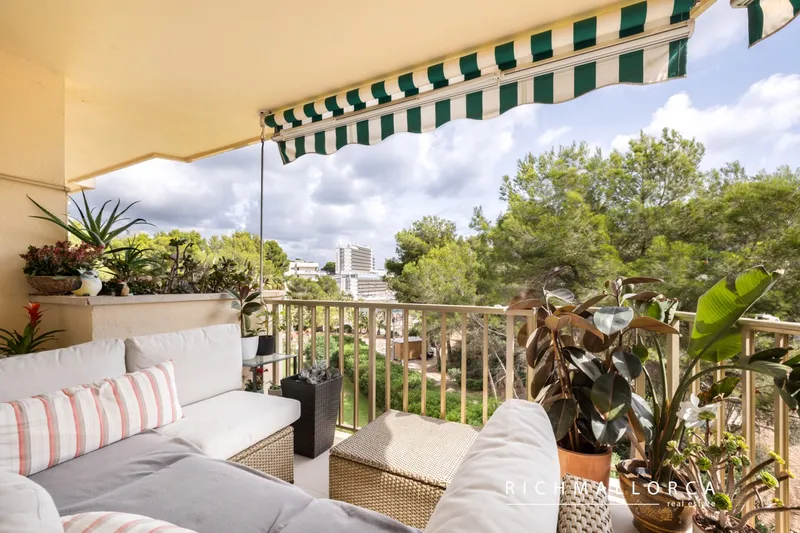 Seafront Mediterranean Elegance in Cala Vinyes — photo 2