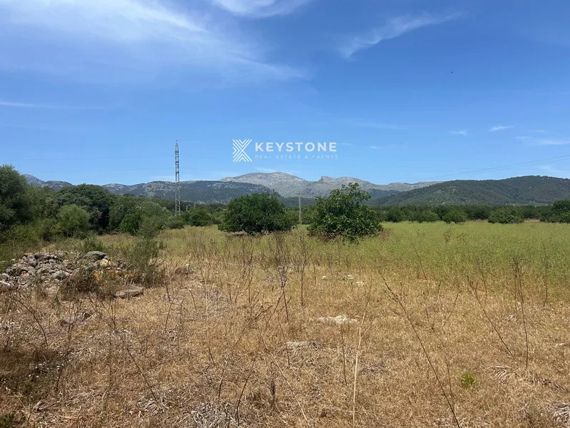Plot — photo 2