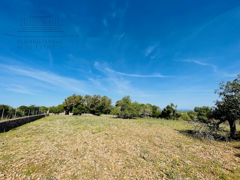 Finca Neubauprojekt zum Top Preis — photo 8