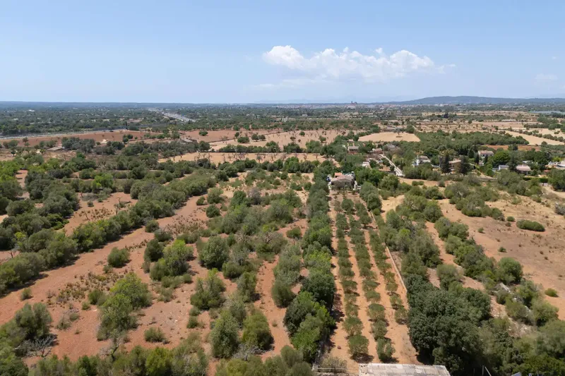 Charming finca built in 1978 in a quiet rural setting in Llucmajor with a large plot — photo 4