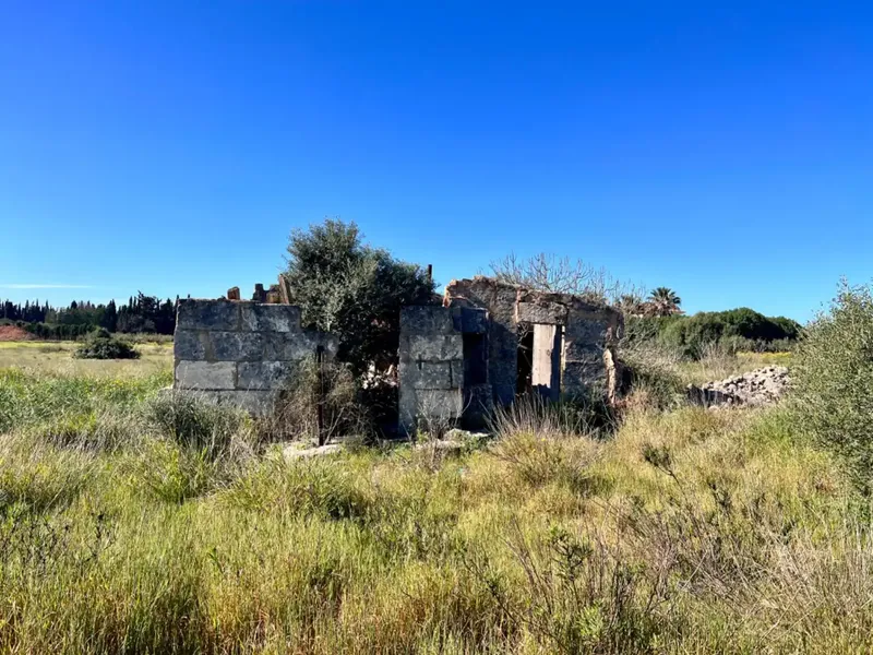 Rustic estate between Sa Pobla and Muro, with over 21,700 m2 of land and several constructions, one of them a large safareig and the other a — photo 5