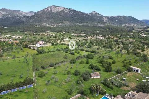 Land in Selva, Mallorca — photo 8