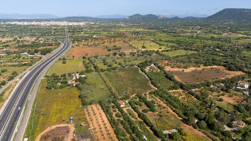 Rustic plot with project and favorable resolution in Llucmajor — photo 7