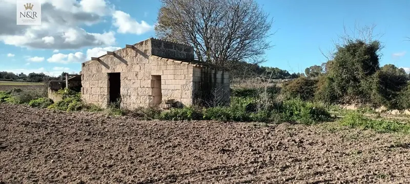 IKV00406-1. Rustic estate for sale in Muro with agricultural house of 37 m² to renovate, built before 1956, duly — photo 4