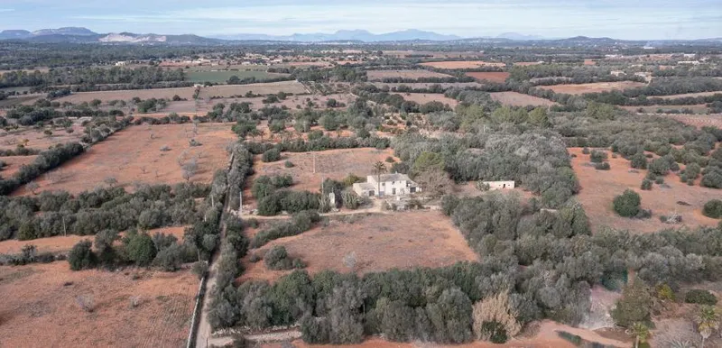 Country house to renovate in Campos with 14,000 m² plot — photo 8