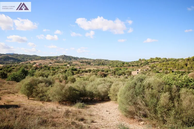 Country house for sale in Manacor — photo 10