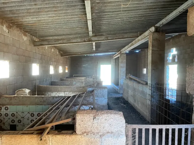 Rustic Farmhouse with Agricultural Classification, Located in the Sineu Area of Mallorca, Known for Its Pleasant Mediterranean Climate, It Has a C — photo 4