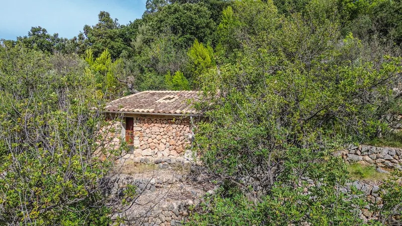 Land with two houses — photo 3