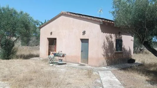 Rustic Land - Santa Margalida — photo 1