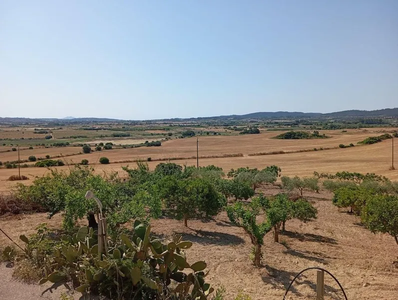 Rural or Farmhouse in Lloret de Vistalegre, Province of Balearic Islands — photo 10